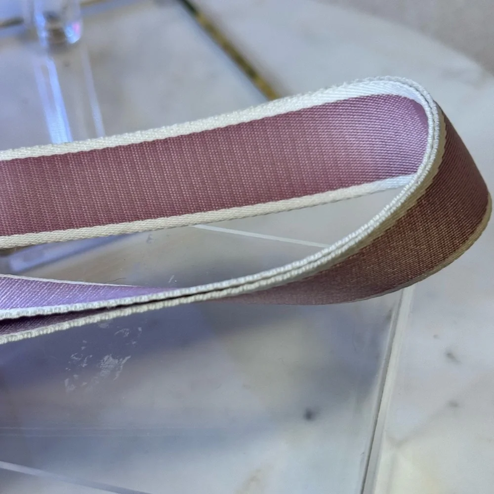 Dior Authentic Pink and Cream Trotter Transparent Crossbody bag w/pouch. RARE - Picture 9 of 16